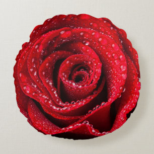 Fin de fleur de rose rouge vers le haut de coussin