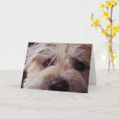 Fin de visage de chiot vers le haut de carte (Fleur jaune)