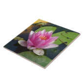 Fin rose de nénuphar vers le haut des carreaux de (Côté)