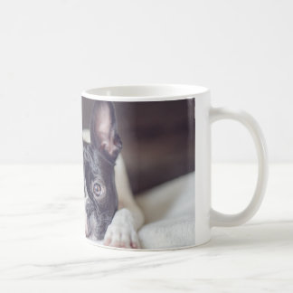 Fina the Boston Terrier Koffiemok