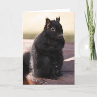 Finally Friends Kaart