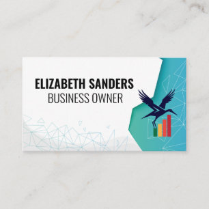 Finance Bird Logo Bedrijfslogo Visitekaartje