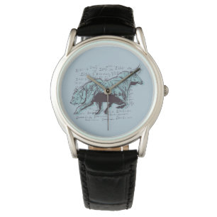 Financiële analyse van aandelenmarkten horloge