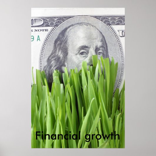 Financiële groei poster (Voorkant)