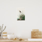 Finch à queue fine par Audubon Poster (Cuisine)