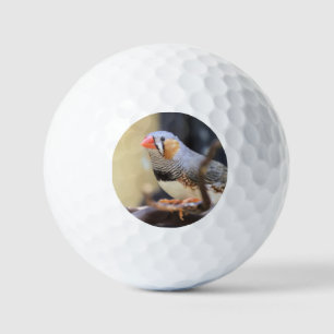 Finch Golfballen