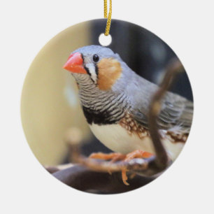 Finch Keramisch Ornament