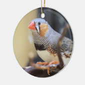 Finch Keramisch Ornament (Links)
