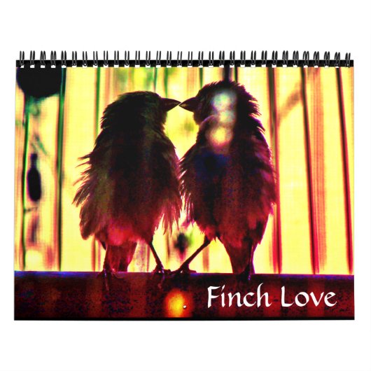 Finch Love Kalender (Hoes)