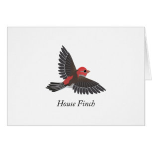 Finch Maison