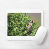 FInch Muismat (Met muis)