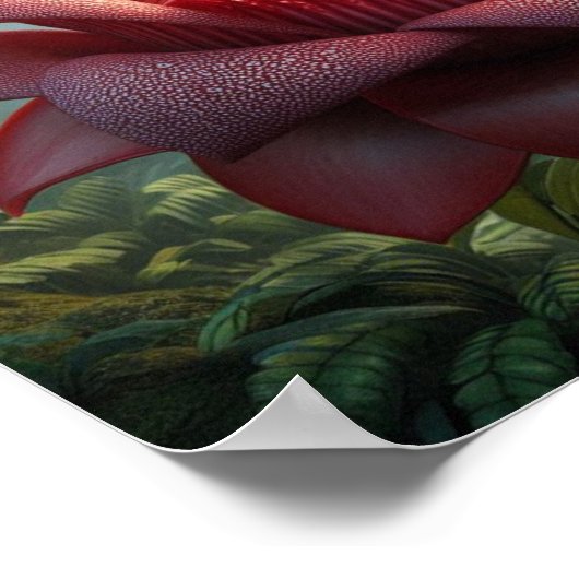 Finch on Giant Jungle Flower in Moody Tropical  Poster (Hoek)