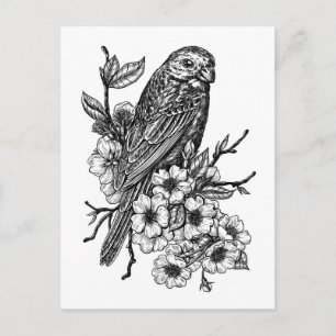 Finch op kersenbranche briefkaart