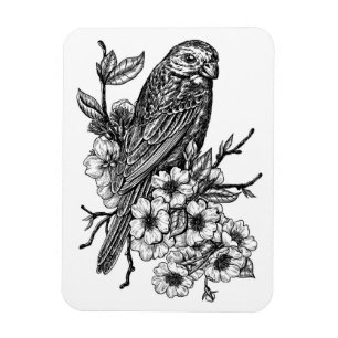 Finch op kersenbranche magneet