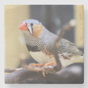Finch Stenen Onderzetter