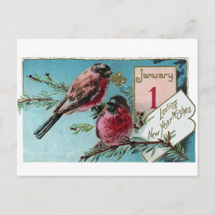 Finches op Pine Tree Nieuwjaar Feestdagenkaart