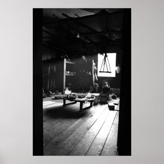 Find the Cat! Poster (Voorkant)