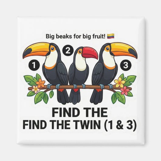 Find The Twin: Toucan Colombia Educational Matchin Magneet (Voorkant)