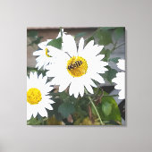 Finding Nectar Canvas Afdruk (Voorkant)