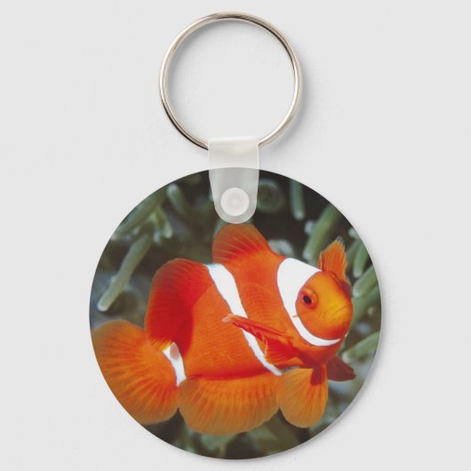 Finding Nemo Sleutelhanger (Voorkant)