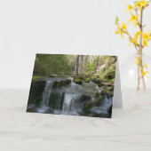 Findlay Falls I Kaart (Gele Bloem)