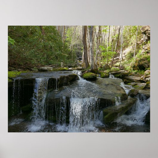 Findlay Falls I Poster (Voorkant)