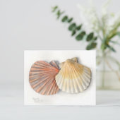 Fine Art Post Card - Zeeschalen, Waterverf Briefkaart (Staand voorkant)