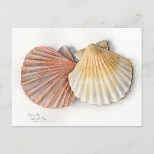 Fine Art Post Card - Zeeschalen, Waterverf Briefkaart (Voorkant)
