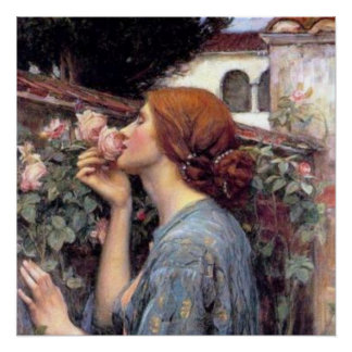 Fine Art The Soul of the Roos Poster Perfect Poster