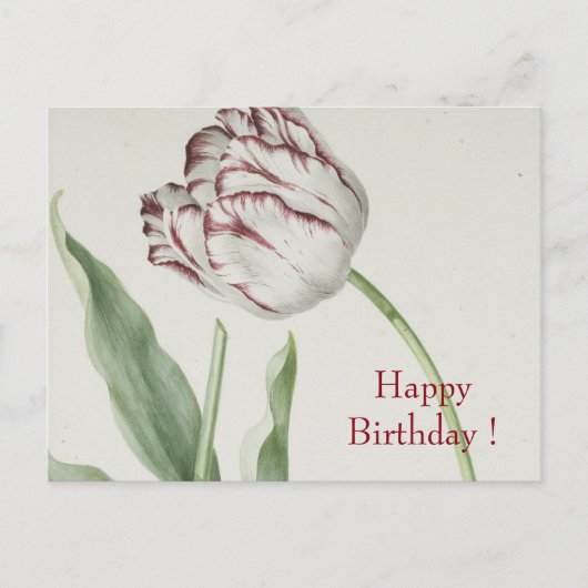  Fine Art, Witte en Rode Tulp Verjaardag Briefkaart (Voorkant)