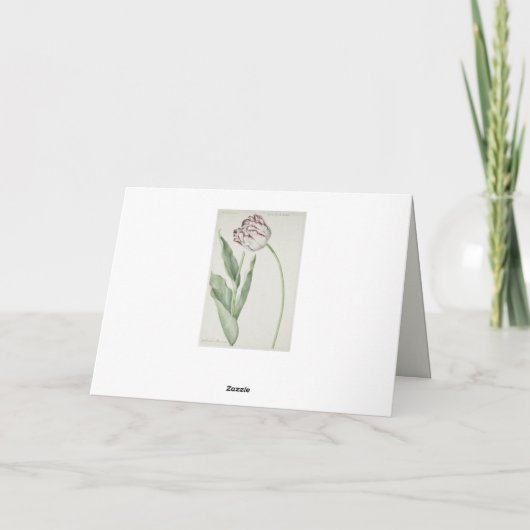 Fine Art, Witte en Rode Tulp Verjaardag Kaart (Achterkant)