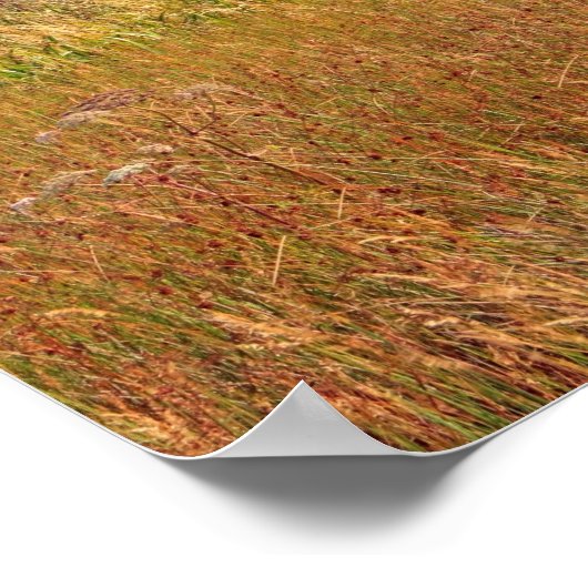 Finlaggan, Schotland Poster (Hoek)