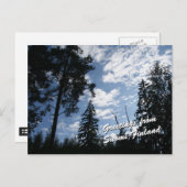 Finland Forest Briefkaart (Voorkant / Achterkant)