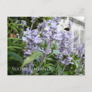 Finland in Flowers, 6e in een serie Briefkaart