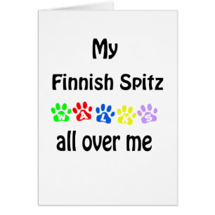 Finlandais Spitz Walks Design