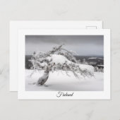 Finlande carte postale souvenir hiver (Devant / Derrière)