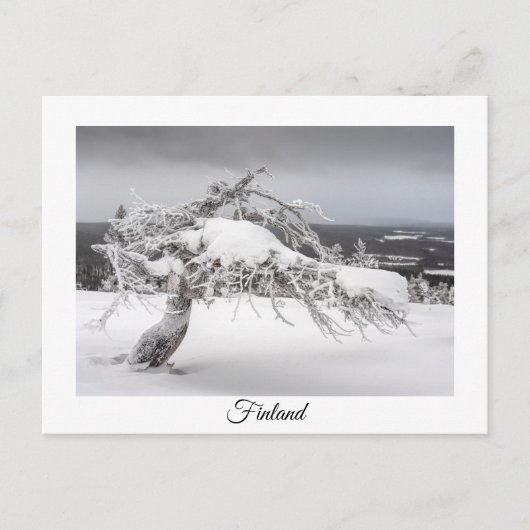 Finlande carte postale souvenir hiver (Devant)