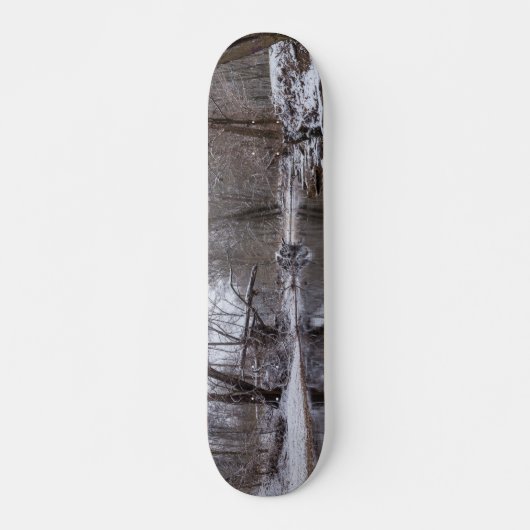 Finley Winter Sneeuw Skateboard (Voorkant)