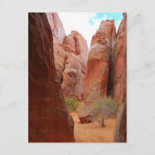 Fins, Arches National Park, Utah, Briefkaart