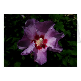 Fins-Hyvää Syntymäpäivää-paarse flower