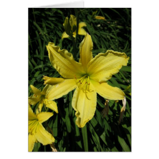 Fins-Hyvää Syntymäpäivää-Yellow Lily