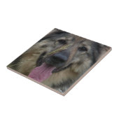 Fins Lapphund Tile Tegeltje (Zijkant)