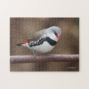Fins met verzegelde diamantfinetaille legpuzzel