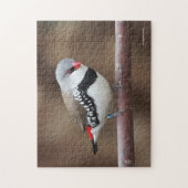 Fins met verzegelde diamantfinetaille legpuzzel (Verticaal)