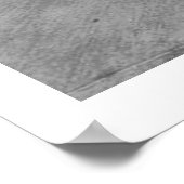 Fins N Chrome Poster (Hoek)