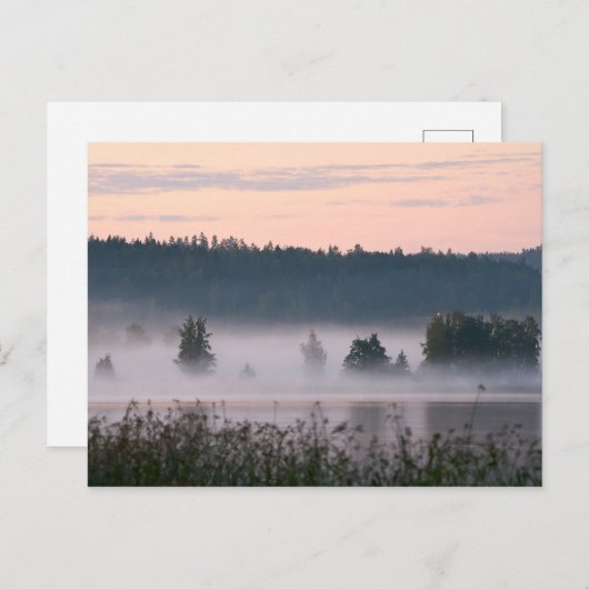 Finse briefkaart voor het landschap van het bos (Voorkant / Achterkant)