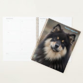 Finse Lapphund Planner (Display)