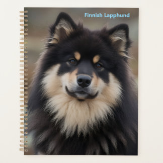 Finse Lapphund Planner