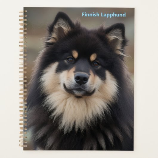 Finse Lapphund Planner (Voorkant)