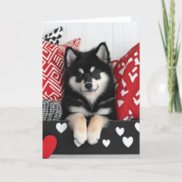 Finse Lapphund Valentijn Kaart